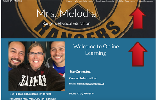 Welcome to Online Learning for PE 